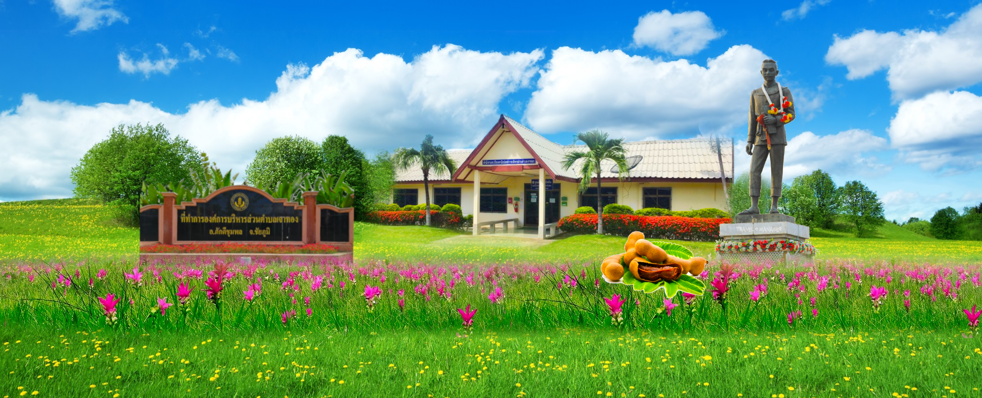 พื้นหลัง